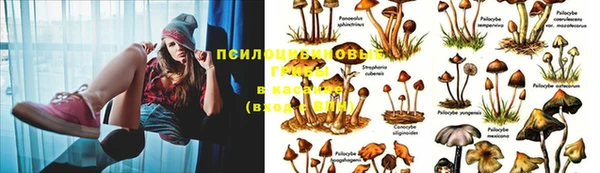 дмт Лабытнанги