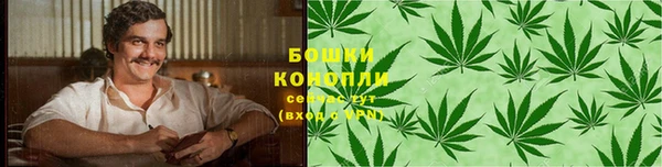 соль ск Ладушкин