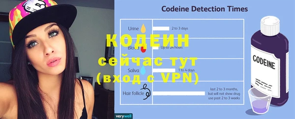 дмт Лабытнанги