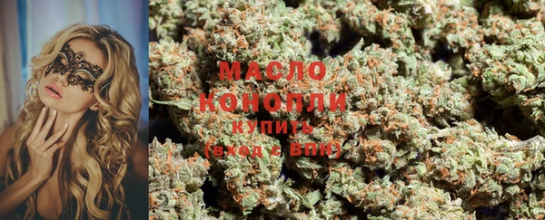 дмт Лабытнанги