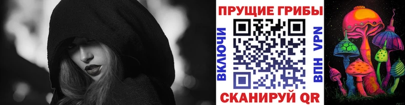 Псилоцибиновые грибы мухоморы  сколько стоит  гидра tor  Циолковский 